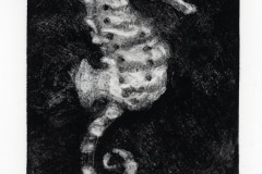 Healy_KyleHicks_04seahorse4