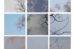 Neems_Karen_03NineTreeGrid