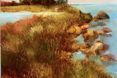 Petit_Denise_02Grassy-Point