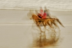 Soares_Barbara_01_Mystery-Ride