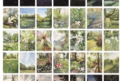Cynthia MacCollum, Flower Moon, 35 View-24 Hours
