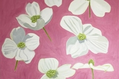 Jessica Hollander, Dogwood Blossoms on Fuchsia