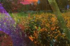 Kiera Hynes, Abstract Lighting