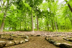 Elaine Lloyd, Labyrinth