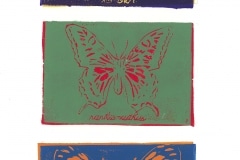 Skylar-Lee.-Butterfly-Color-Study