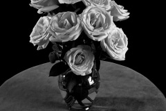 Beth Shepherd Peters, Roses