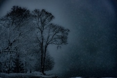 Marcy Juran, Frost Point