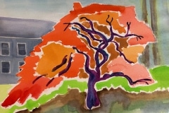 Renee Barkett, North Salem Garden
