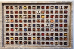 Amy Schott, Butterfly Days #2