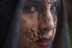 A Veiled Face, Pamela Zaremba
