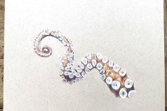Rebecca Antinou, Tentacle