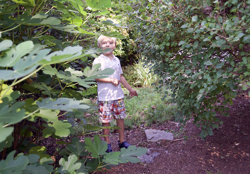 Barbara OShea, Through His Eyes
