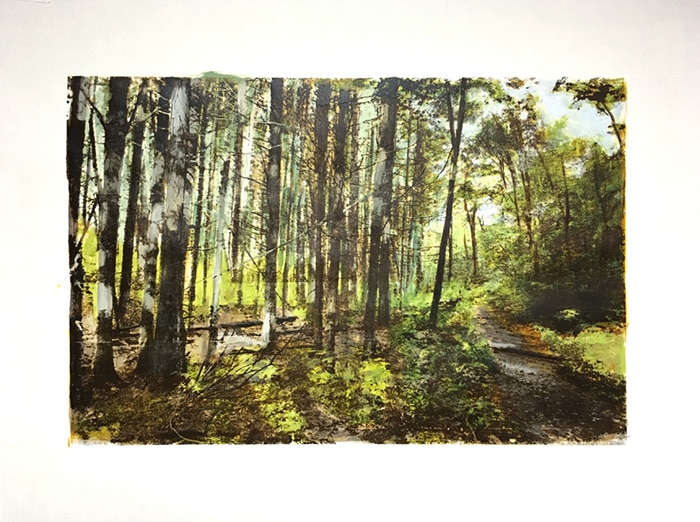 Harvey_Evelyn_02HikersTrail Carriage Barn Arts Center