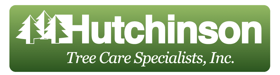 Hutchinson Tree Care Specialists Logo-01