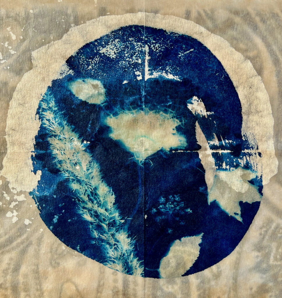 The Art of Cyanotype Advanced Carriage Barn Arts Center